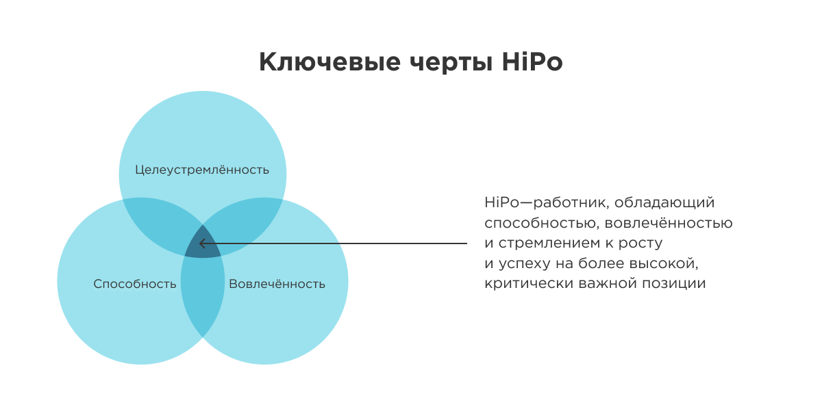 hipo сотрудники это