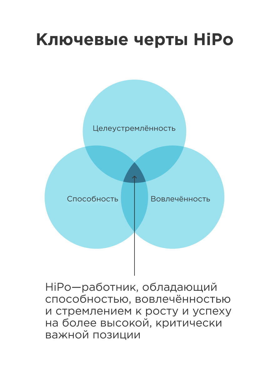 hipo сотрудники это