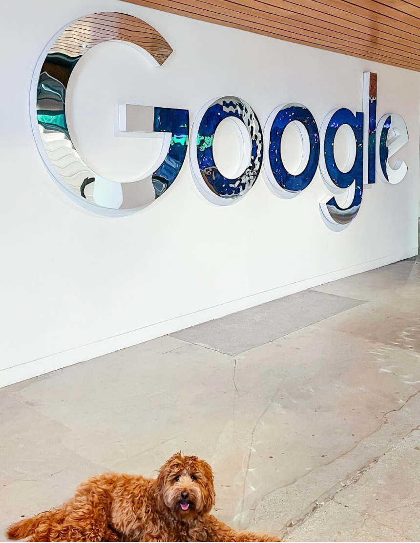 Собаки в офисах Google