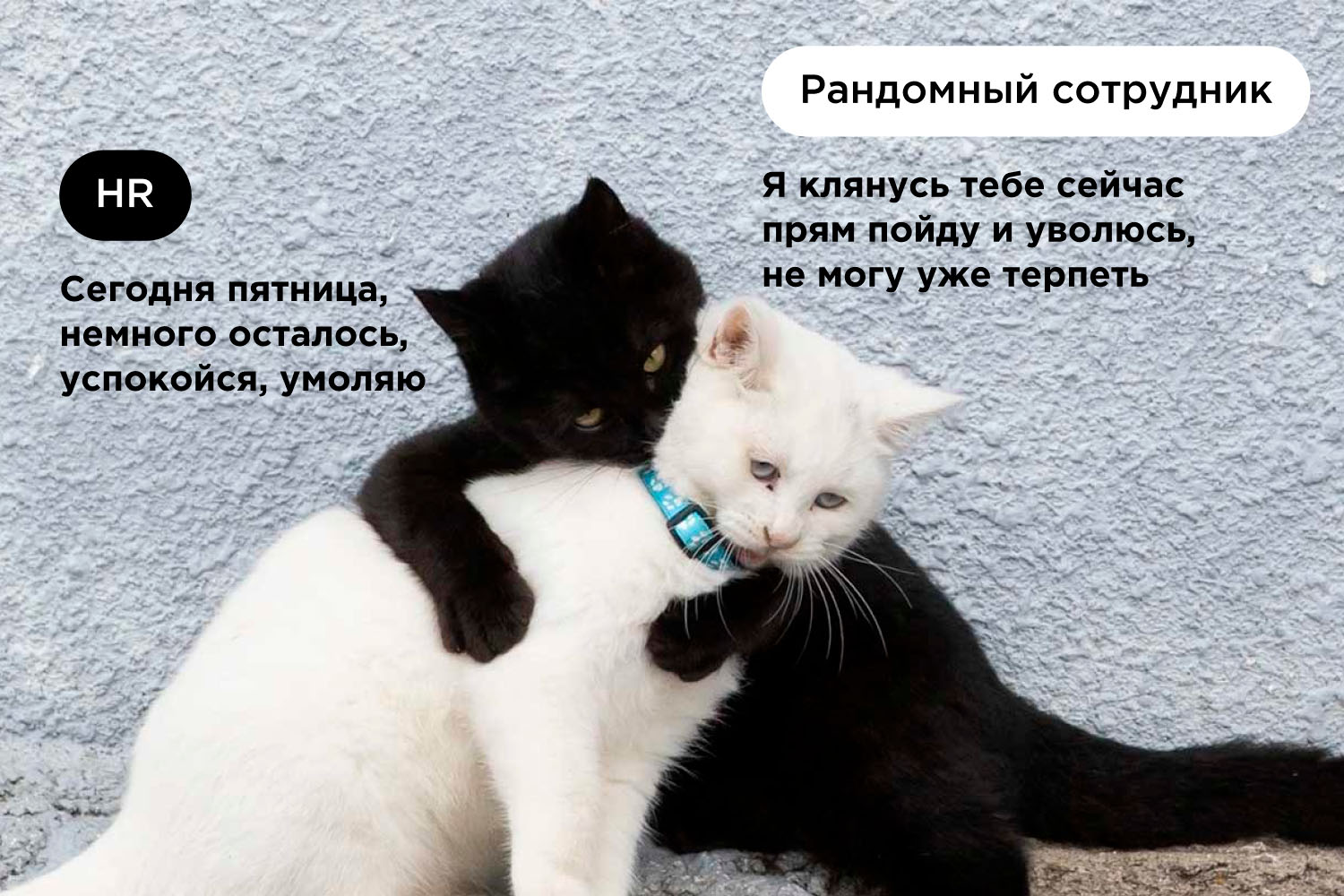 Удержание мем Удержание мем